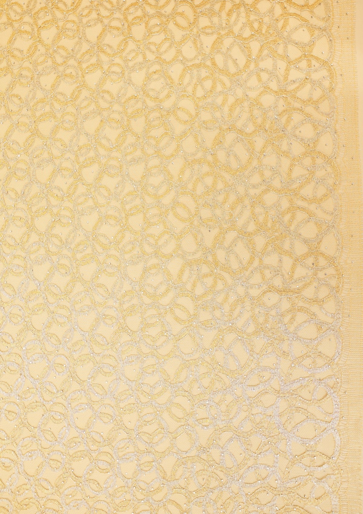 Chantilly Lace With Stone Work - FCE#445
