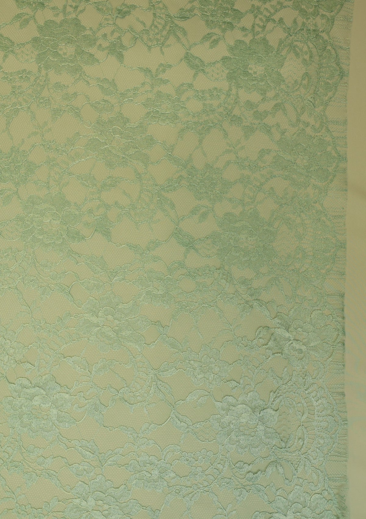 French Resham Chantilly Lace - FCE#447