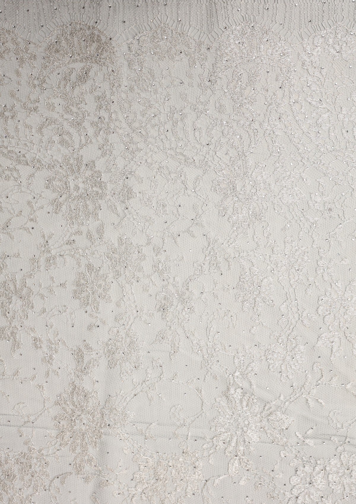 Chantilly Lace With Stone Work - ASPL#112